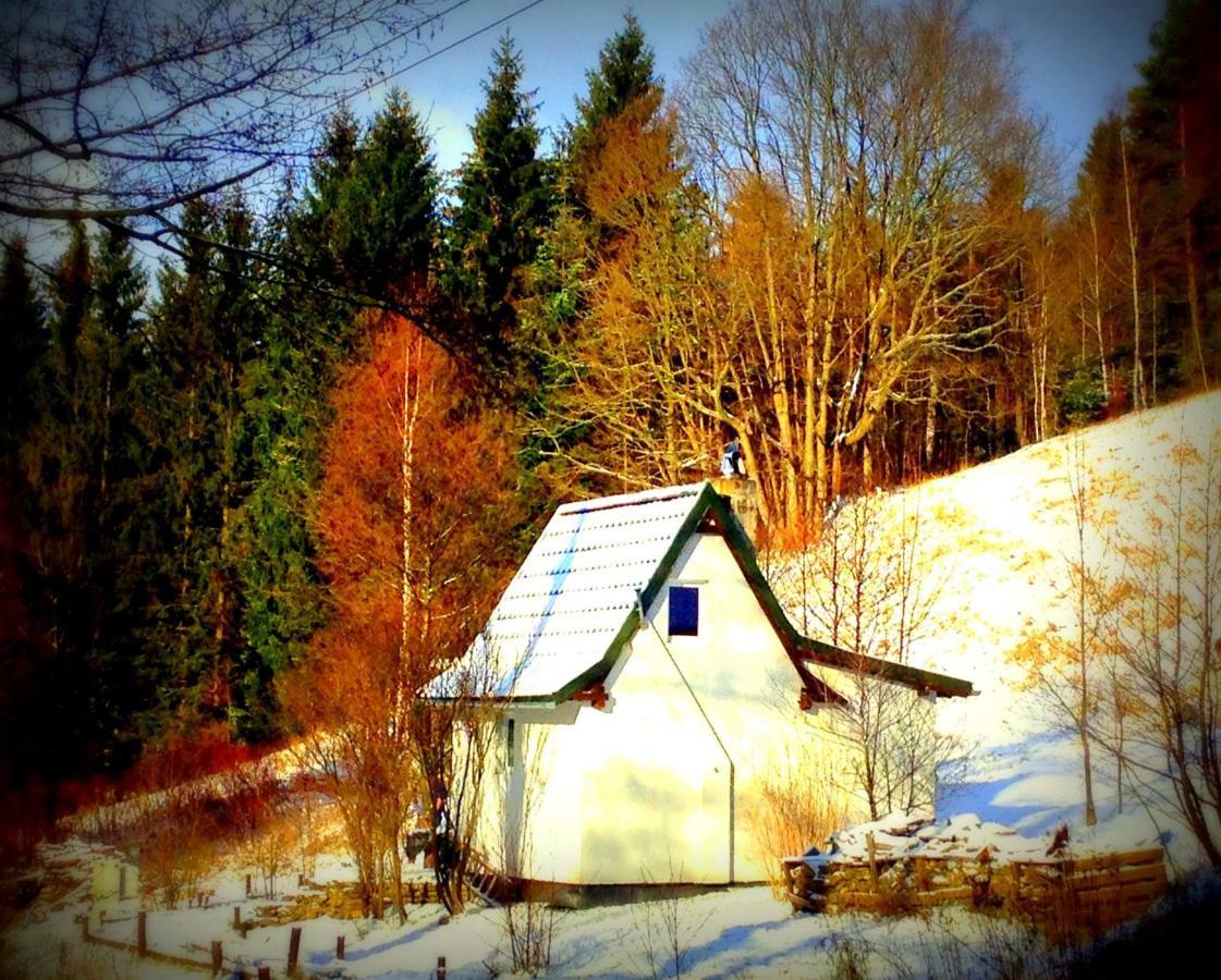 Dziewiecsil-Domek W Gorach Duszniki Zdrój Esterno foto
